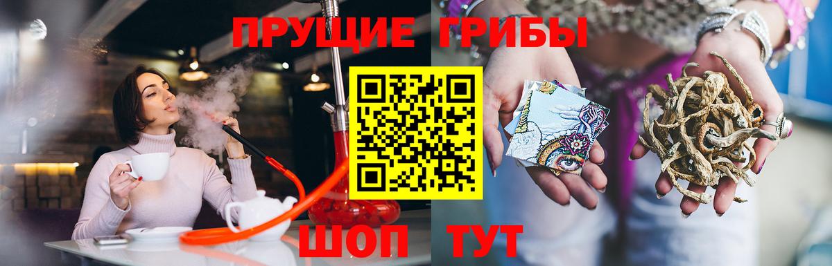 Галлюциногенные грибы Cubensis  Вход с VPN  Севастополь 