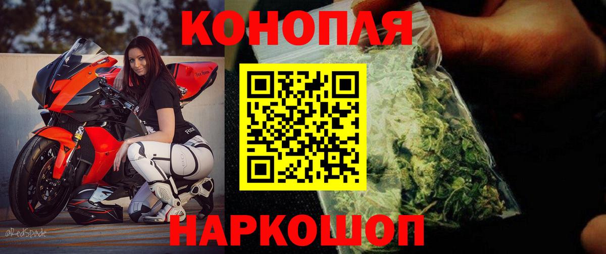 Бошки Шишки сатива Севастополь